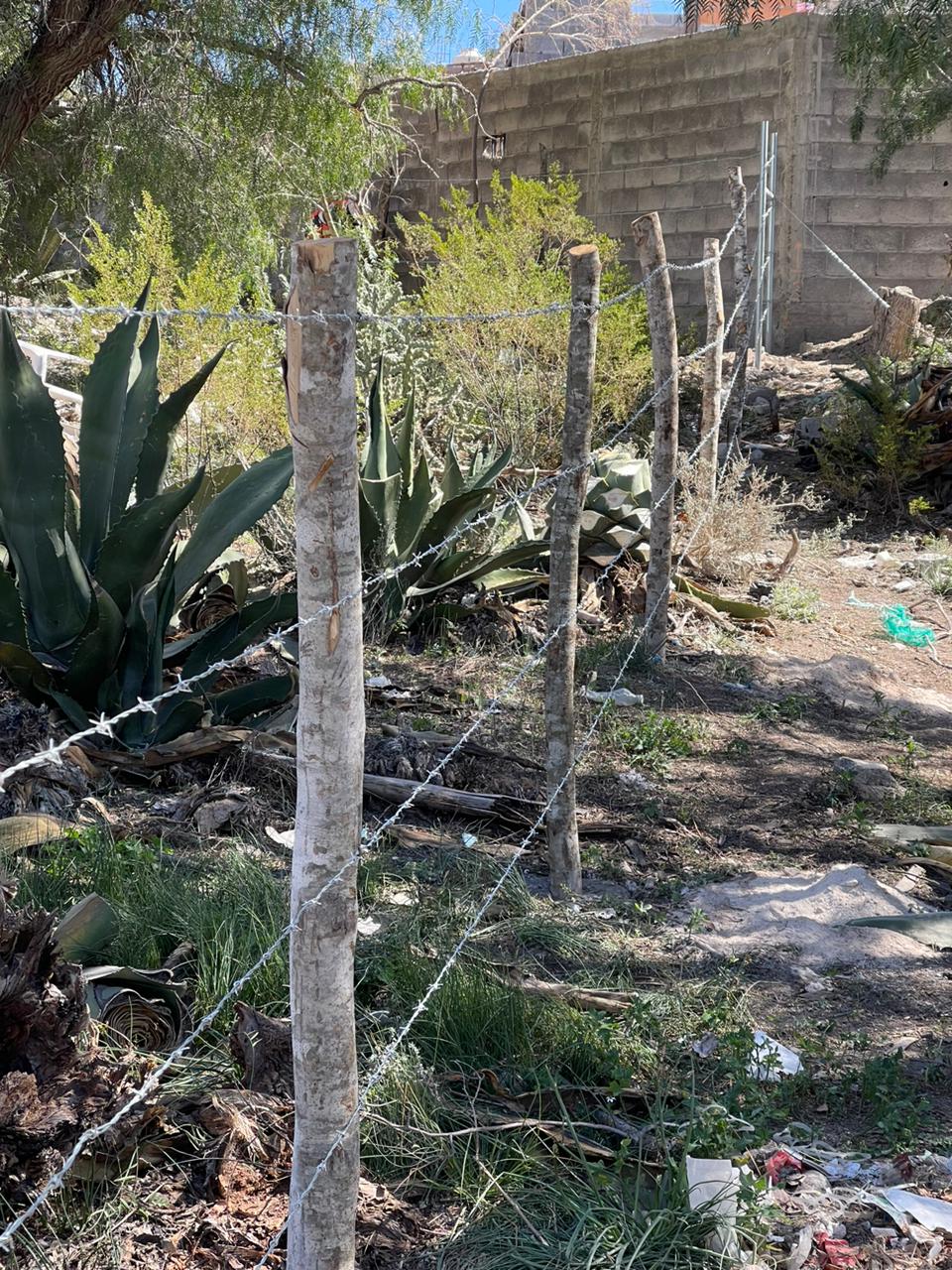 Alambre de púas instalado en cerco