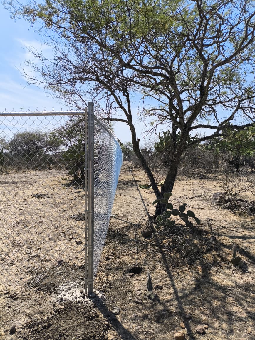 Detalle de malla ciclónica galvanizada